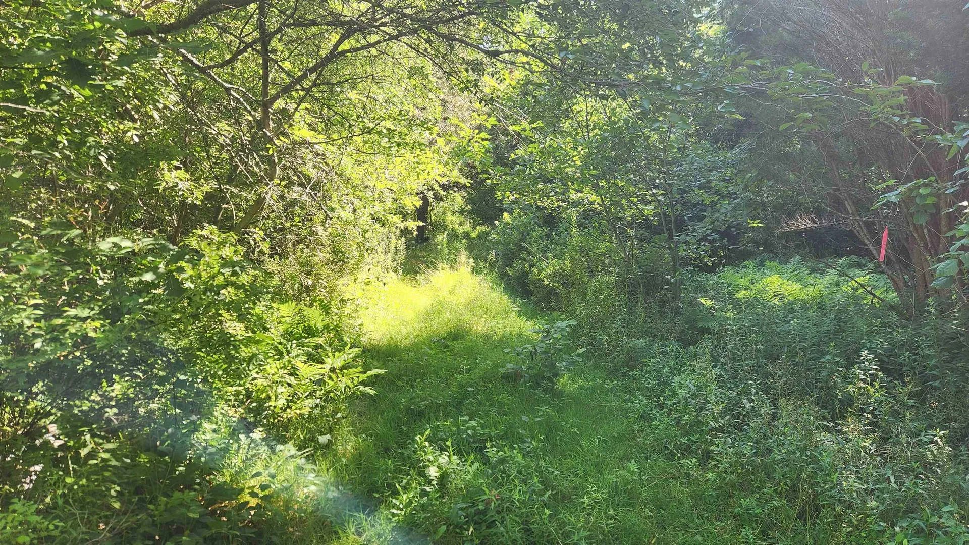 29 Gary Lane Exeter NH 03833