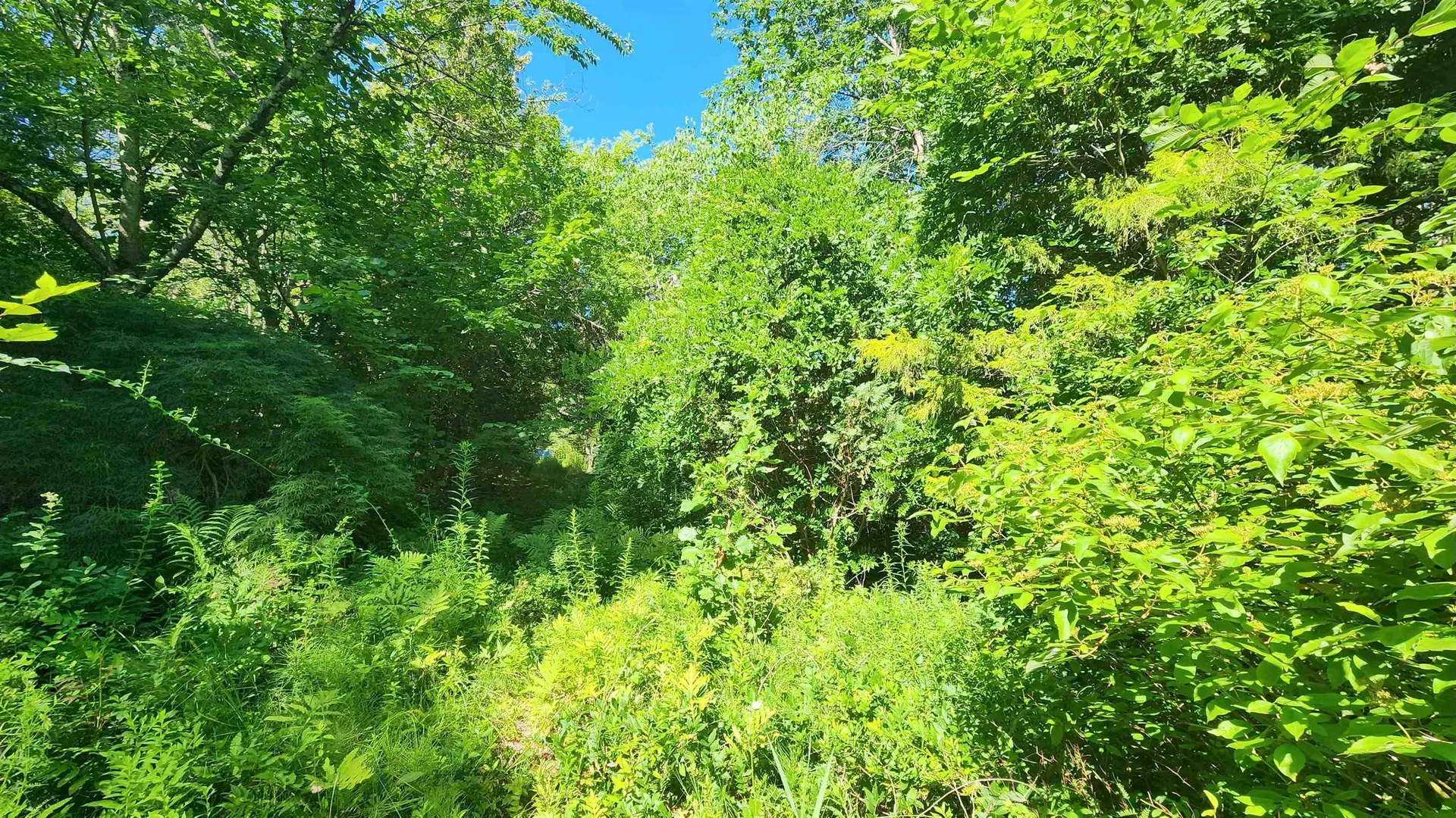 29 Gary Lane Exeter NH 03833