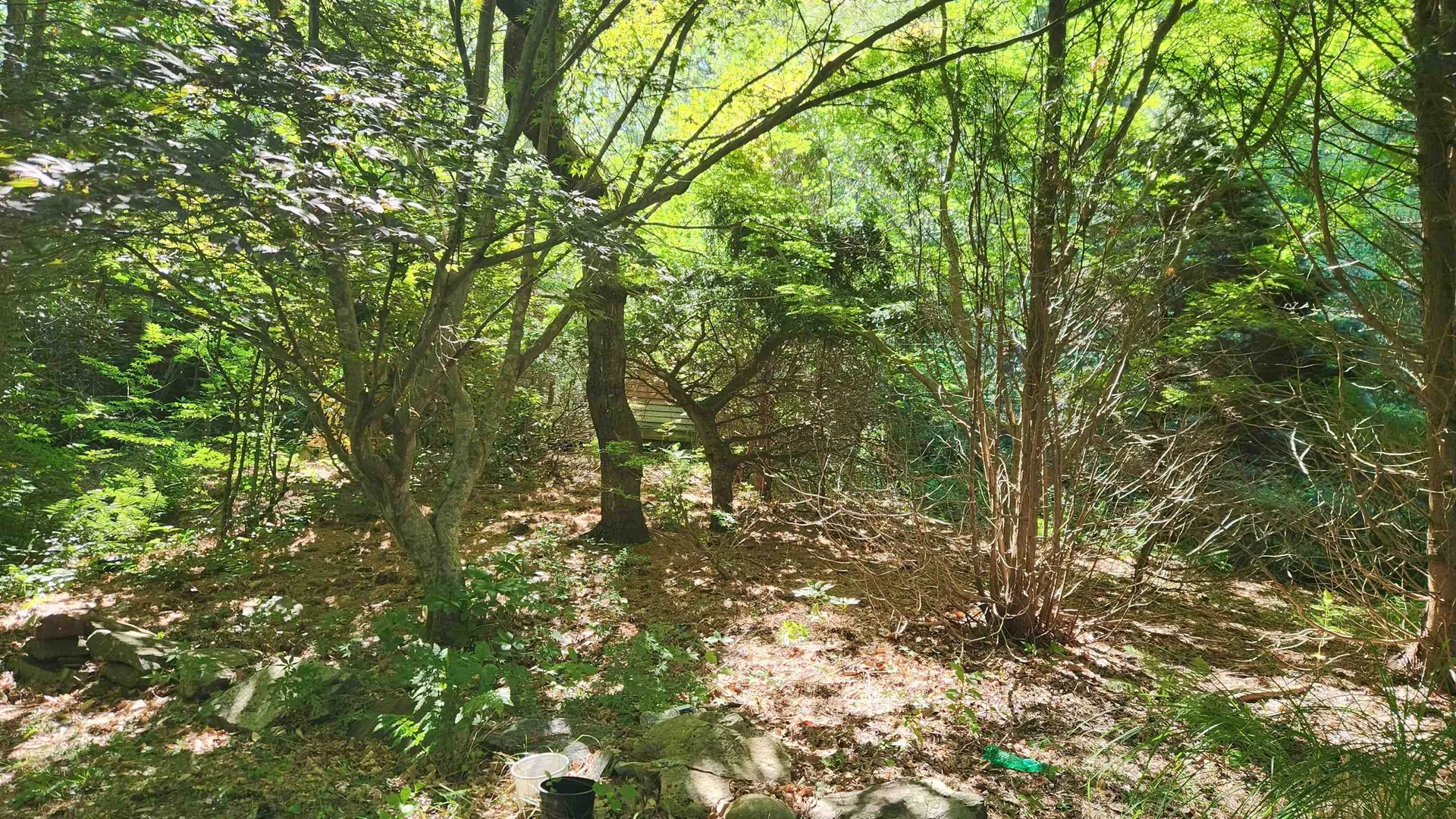 29 Gary Lane Exeter NH 03833