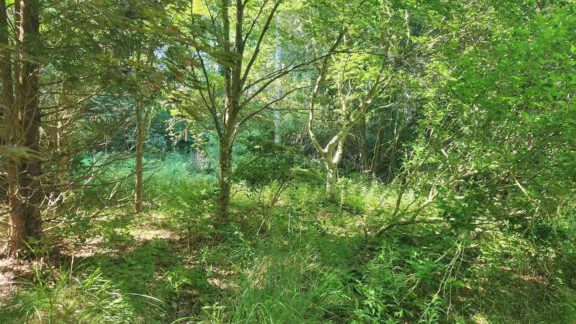 29 Gary Lane Exeter NH 03833