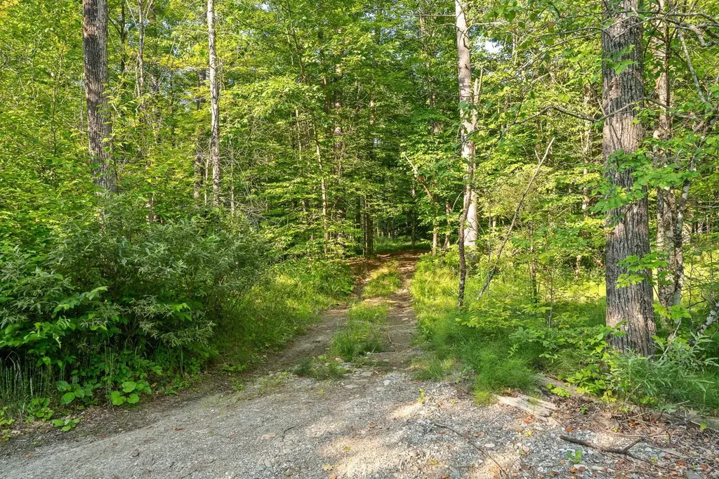 419 Baileys Mill Road Reading VT 05062