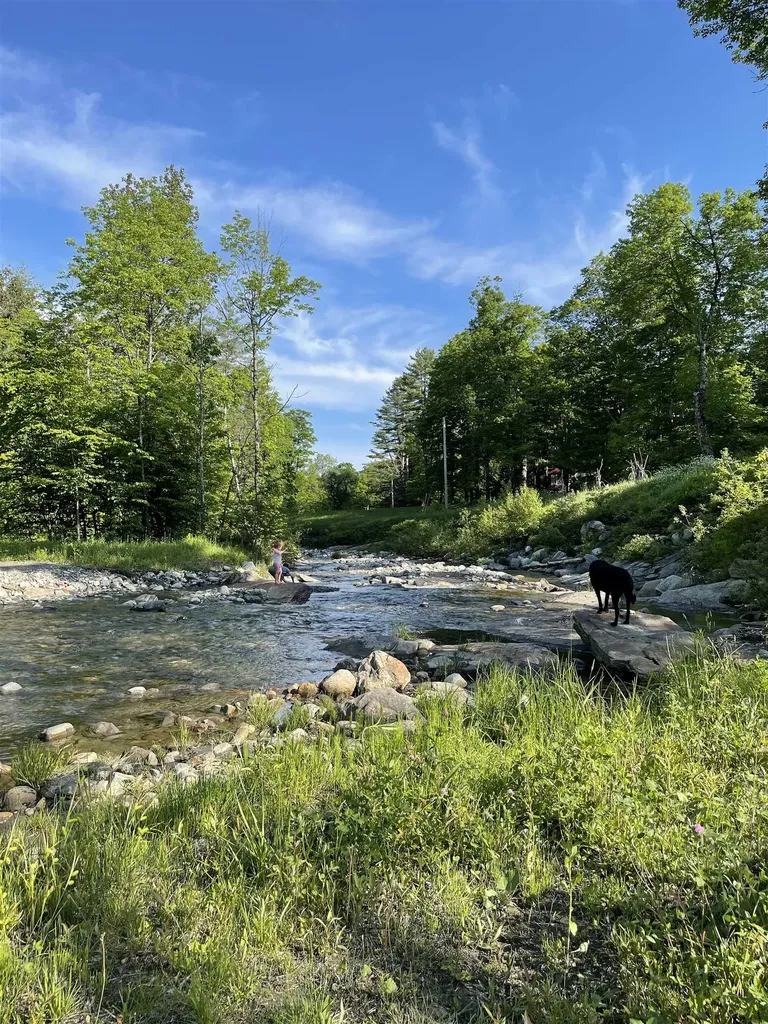 419 Baileys Mill Road Reading VT 05062