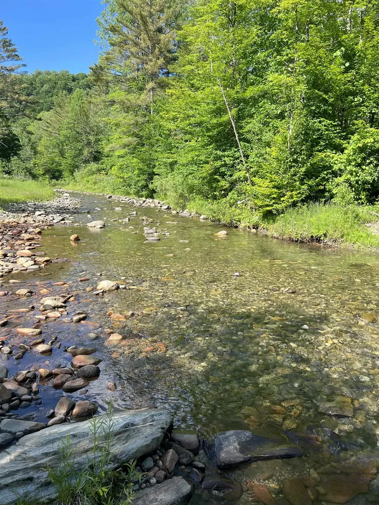 419 Baileys Mill Road Reading VT 05062