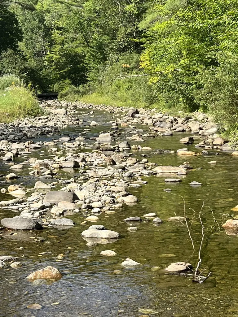 419 Baileys Mill Road Reading VT 05062