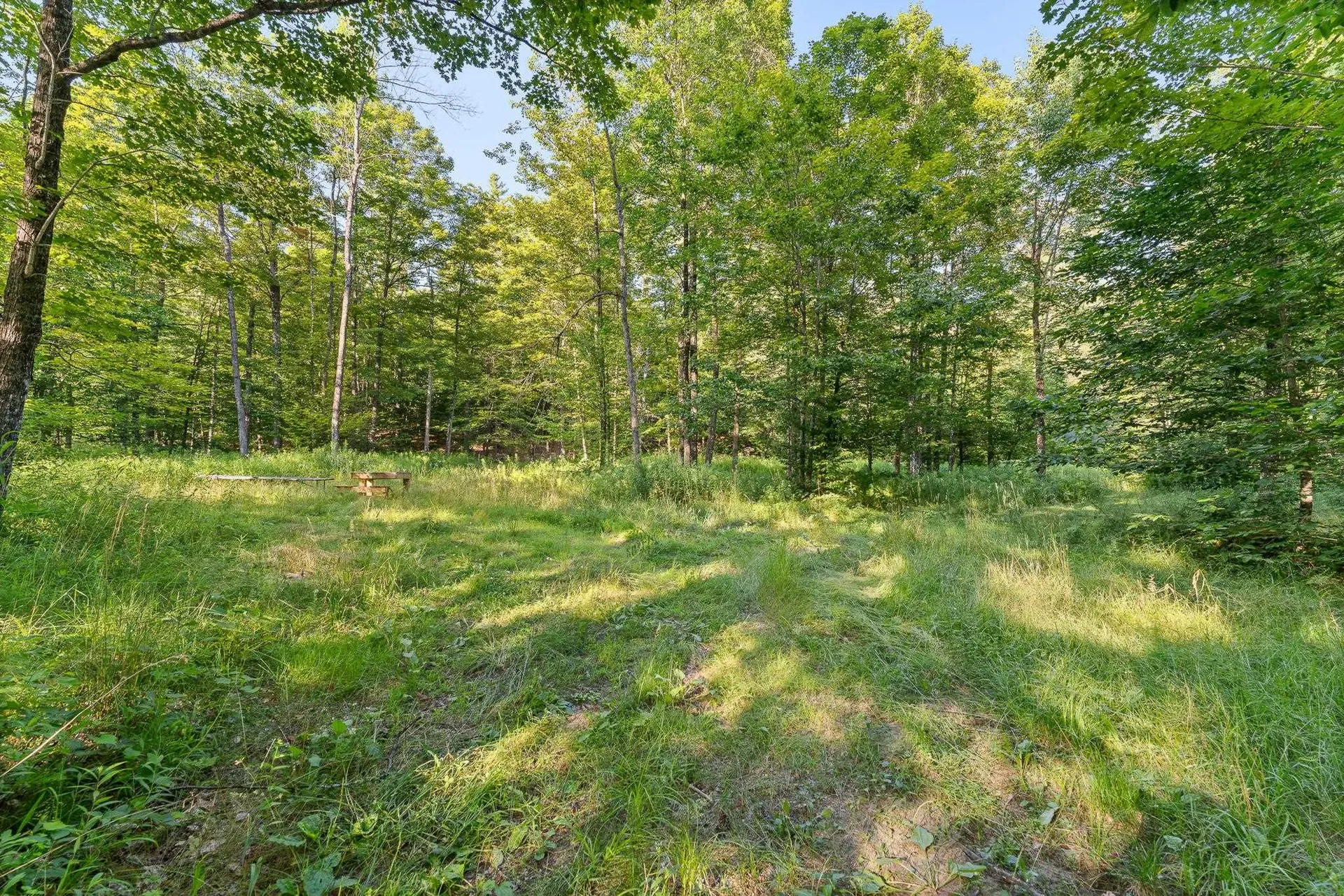 419 Baileys Mill Road Reading VT 05062