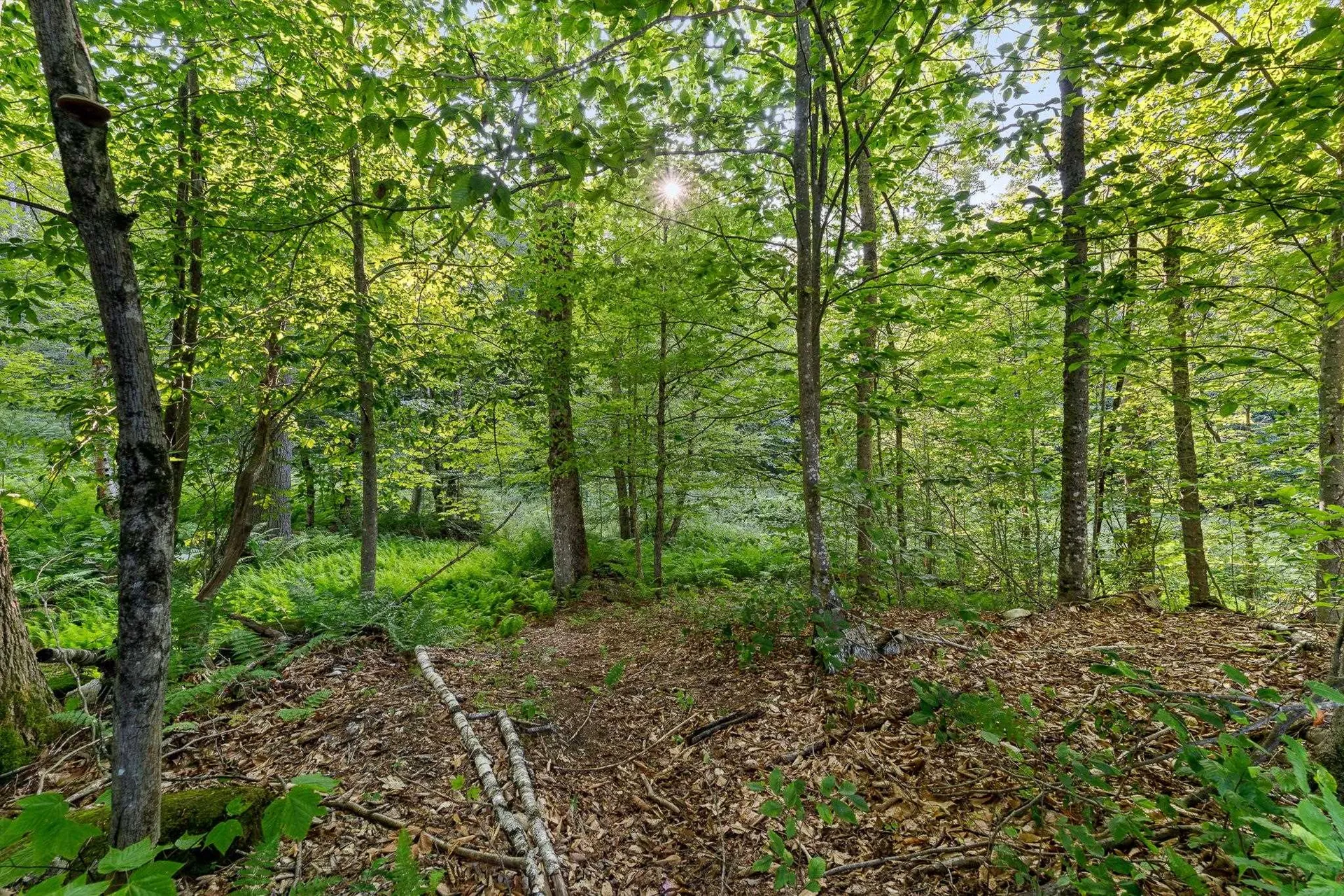 419 Baileys Mill Road Reading VT 05062