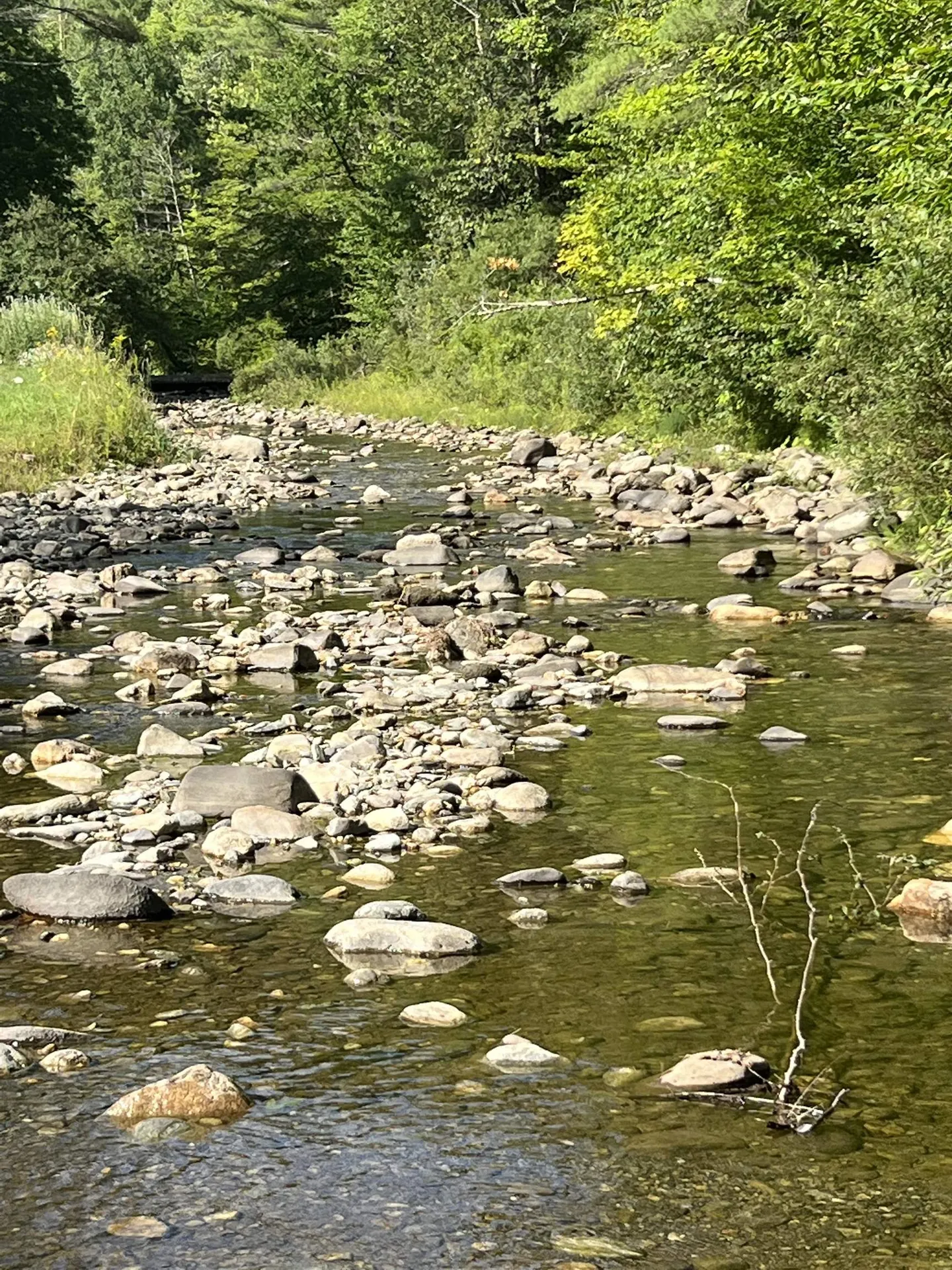 419 Baileys Mill Road Reading VT 05062