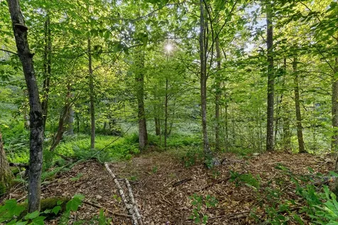 419 Baileys Mill Road Reading VT 05062