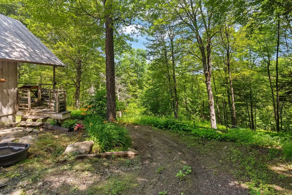 24 Mary White Road Tunbridge VT 05077