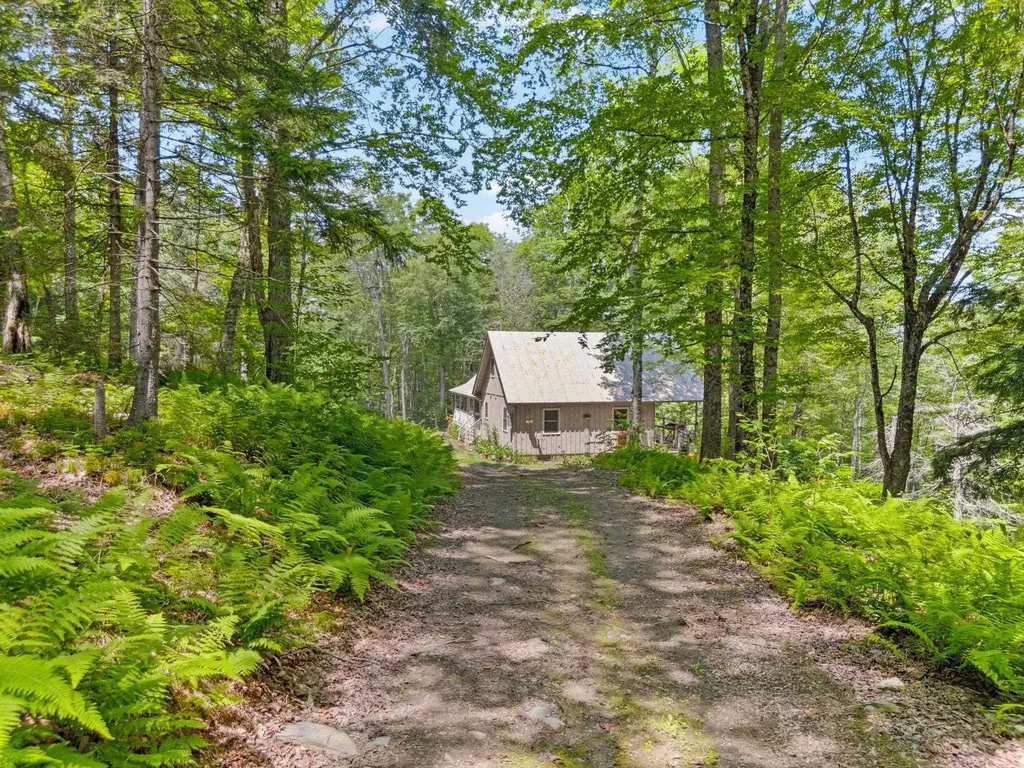 24 Mary White Road Tunbridge VT 05077