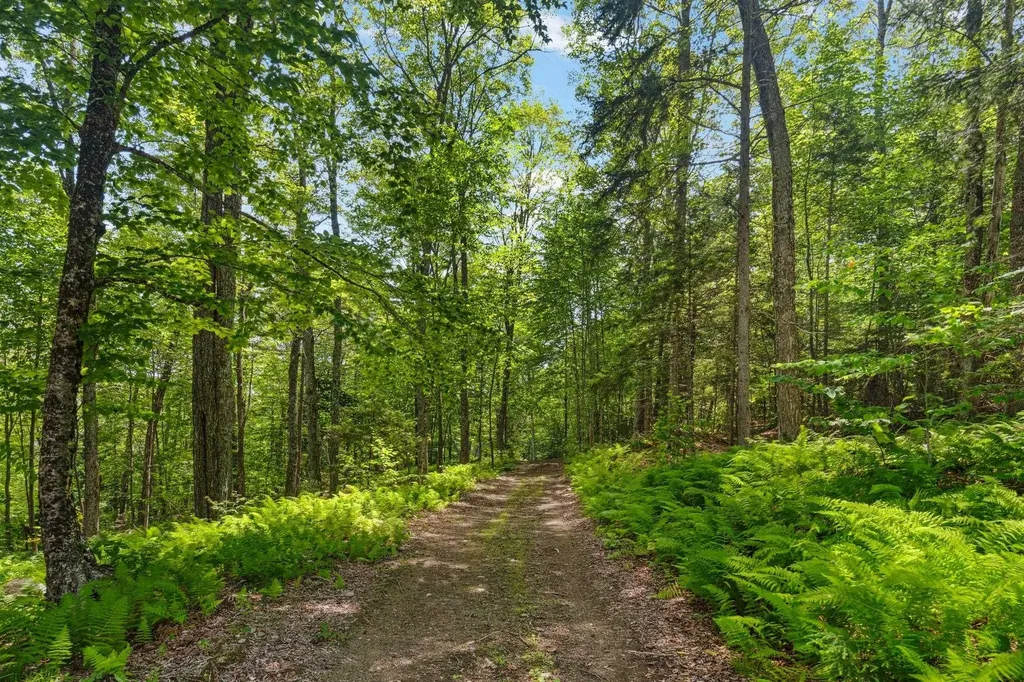 24 Mary White Road Tunbridge VT 05077