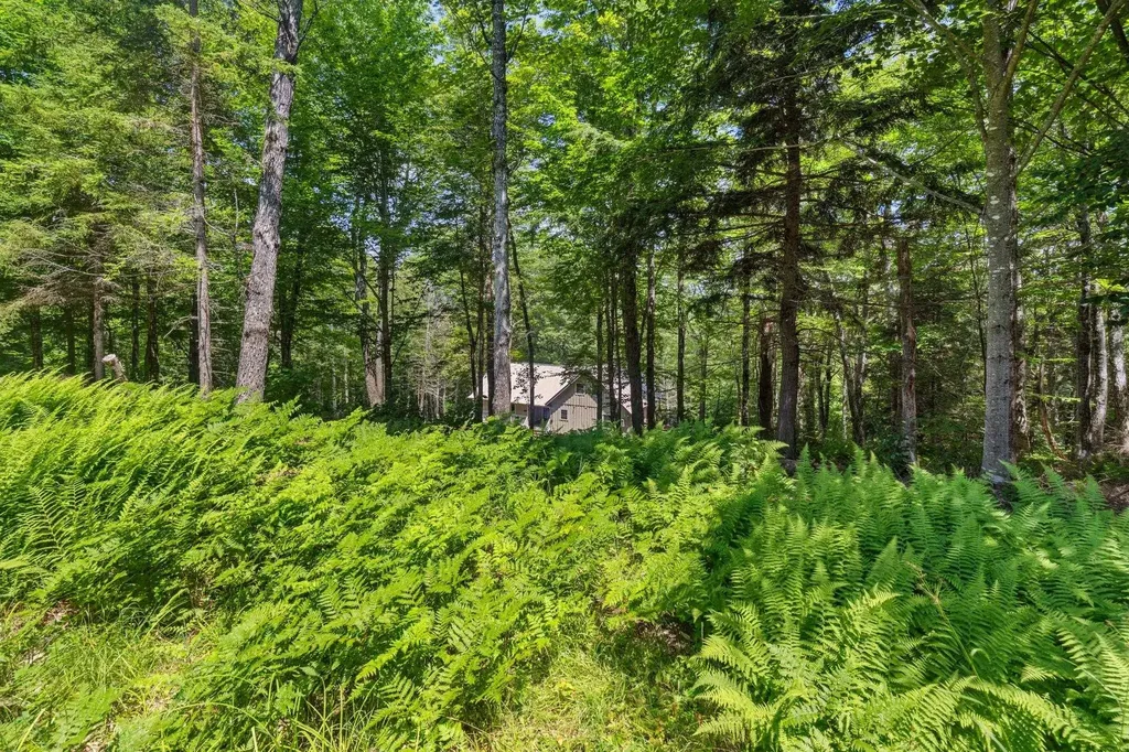 24 Mary White Road Tunbridge VT 05077