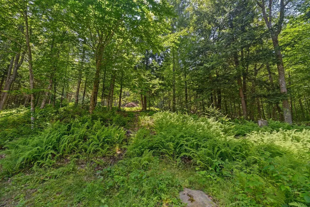 24 Mary White Road Tunbridge VT 05077