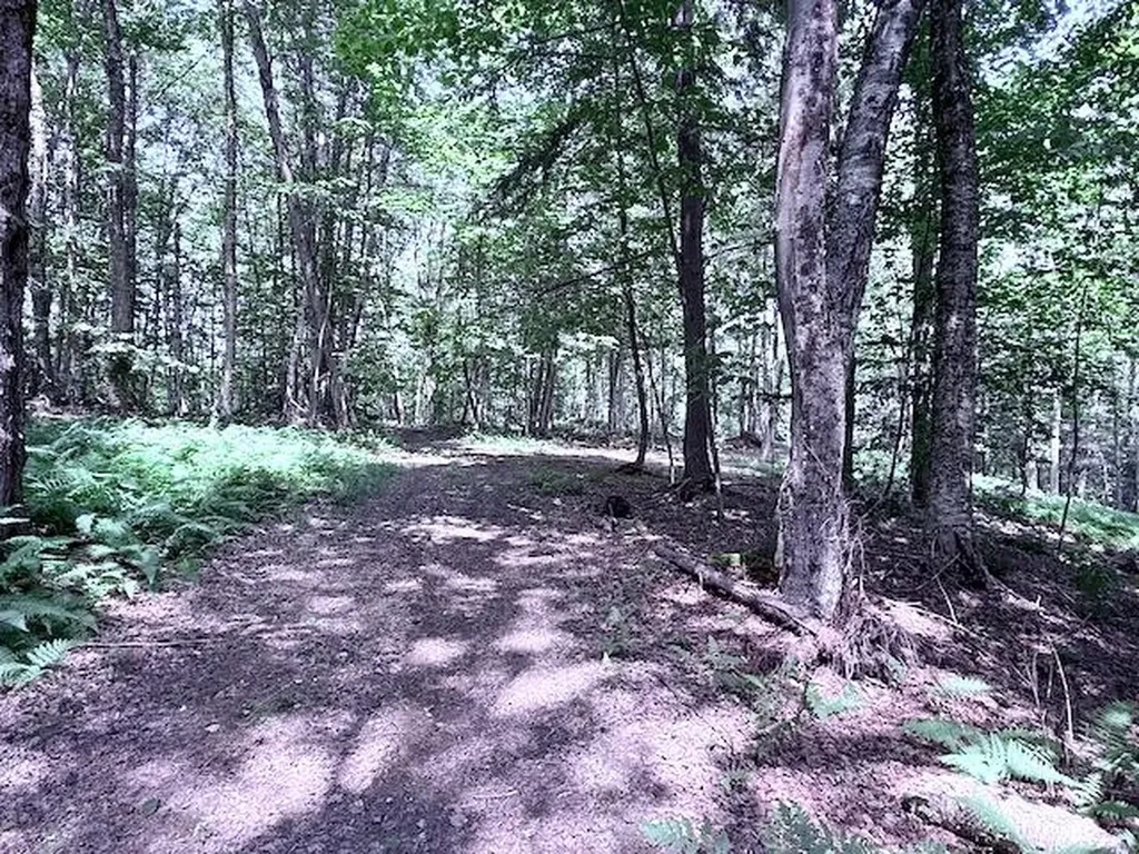 24 Mary White Road Tunbridge VT 05077