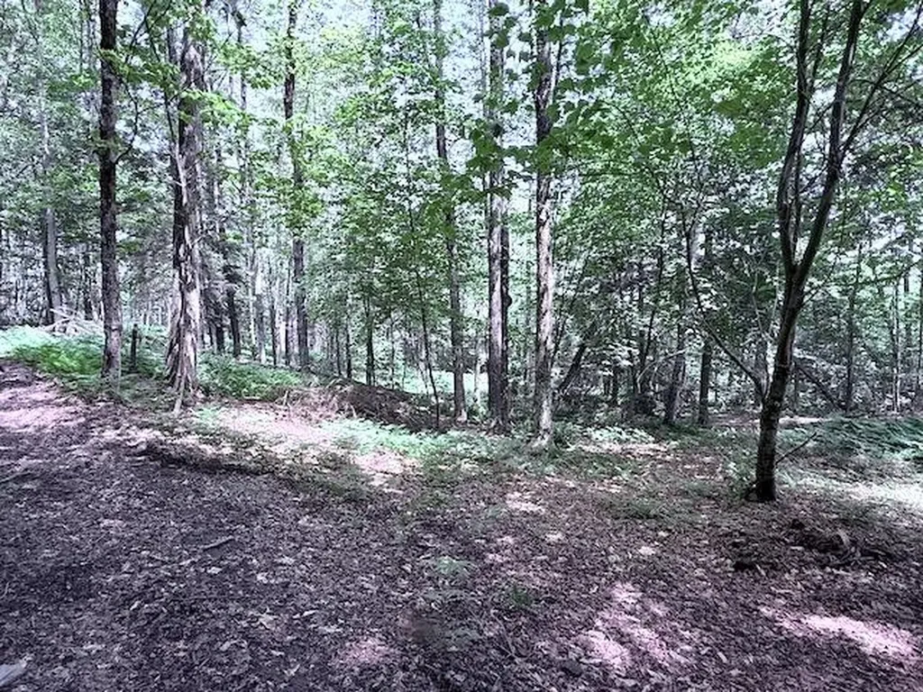 24 Mary White Road Tunbridge VT 05077