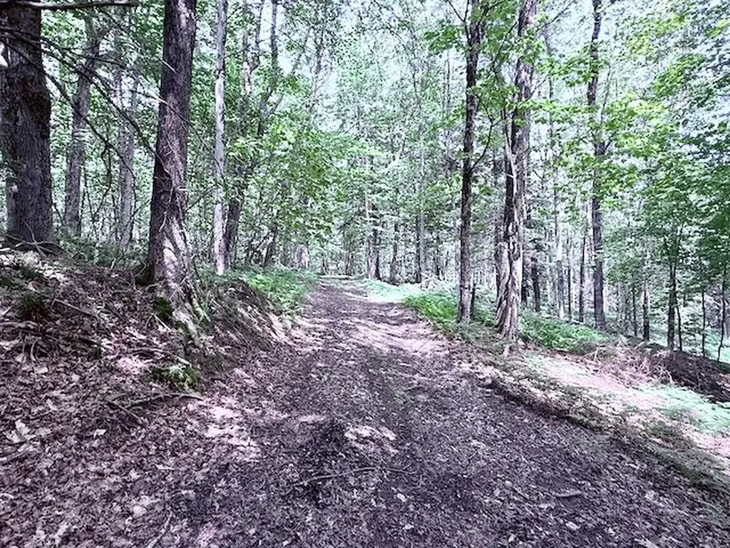 24 Mary White Road Tunbridge VT 05077