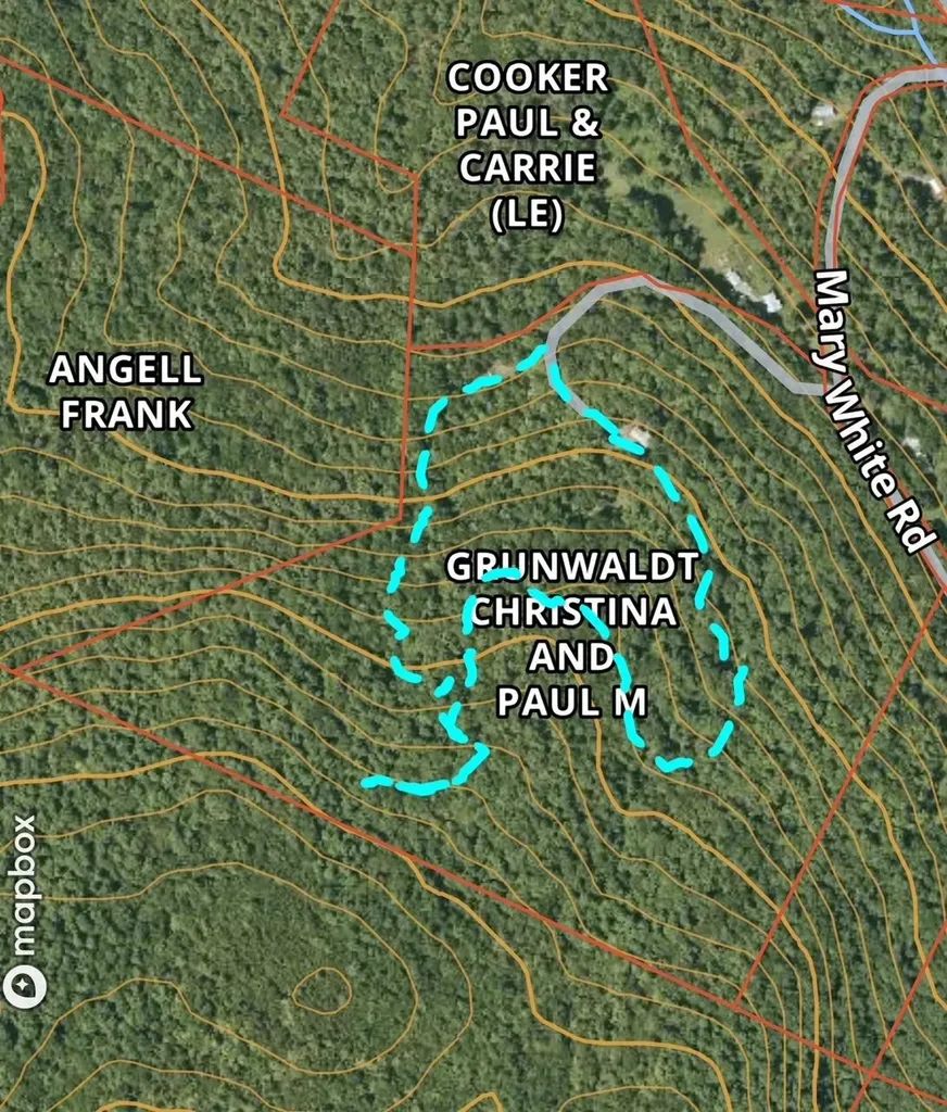 24 Mary White Road Tunbridge VT 05077