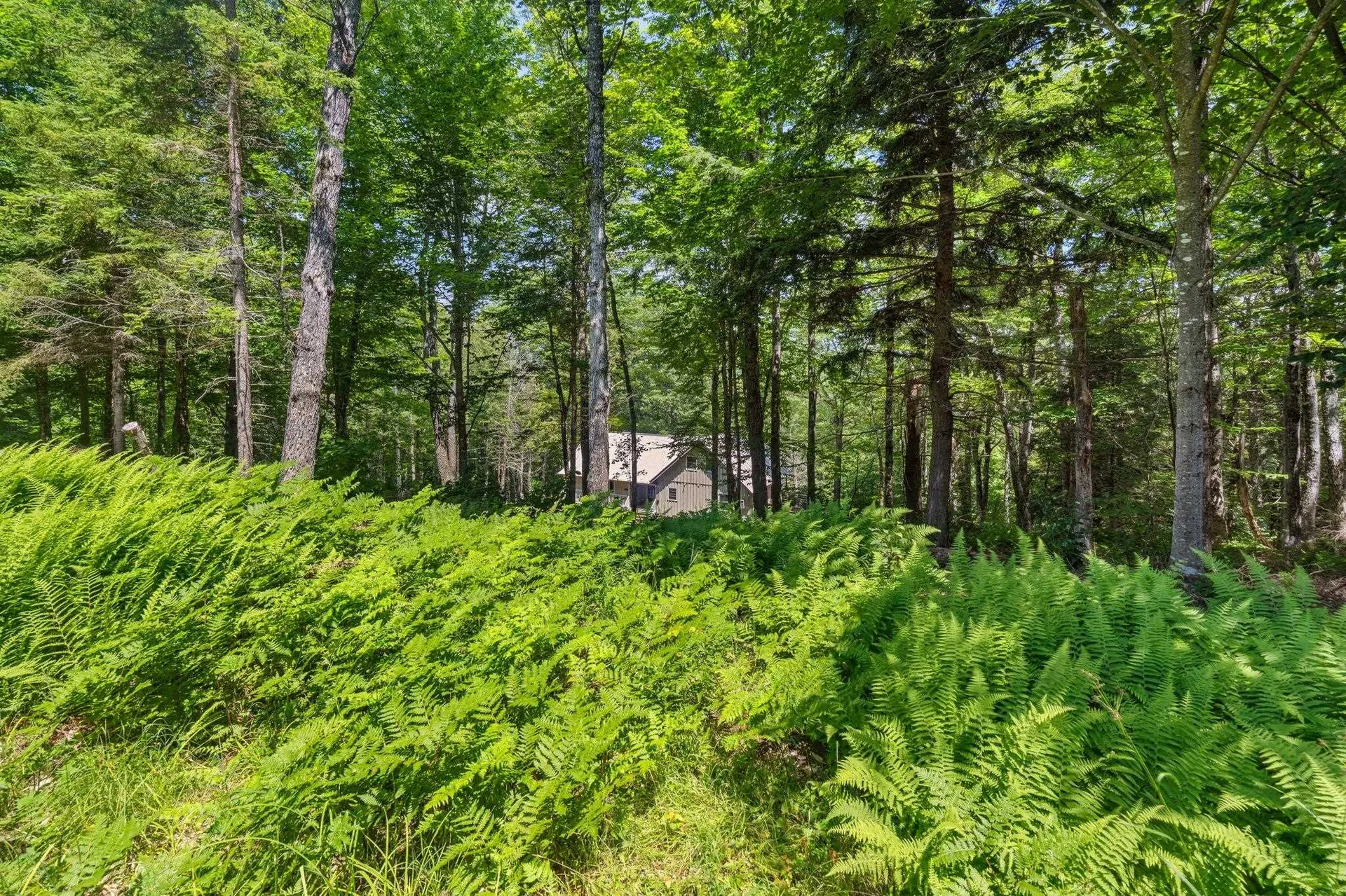 24 Mary White Road Tunbridge VT 05077