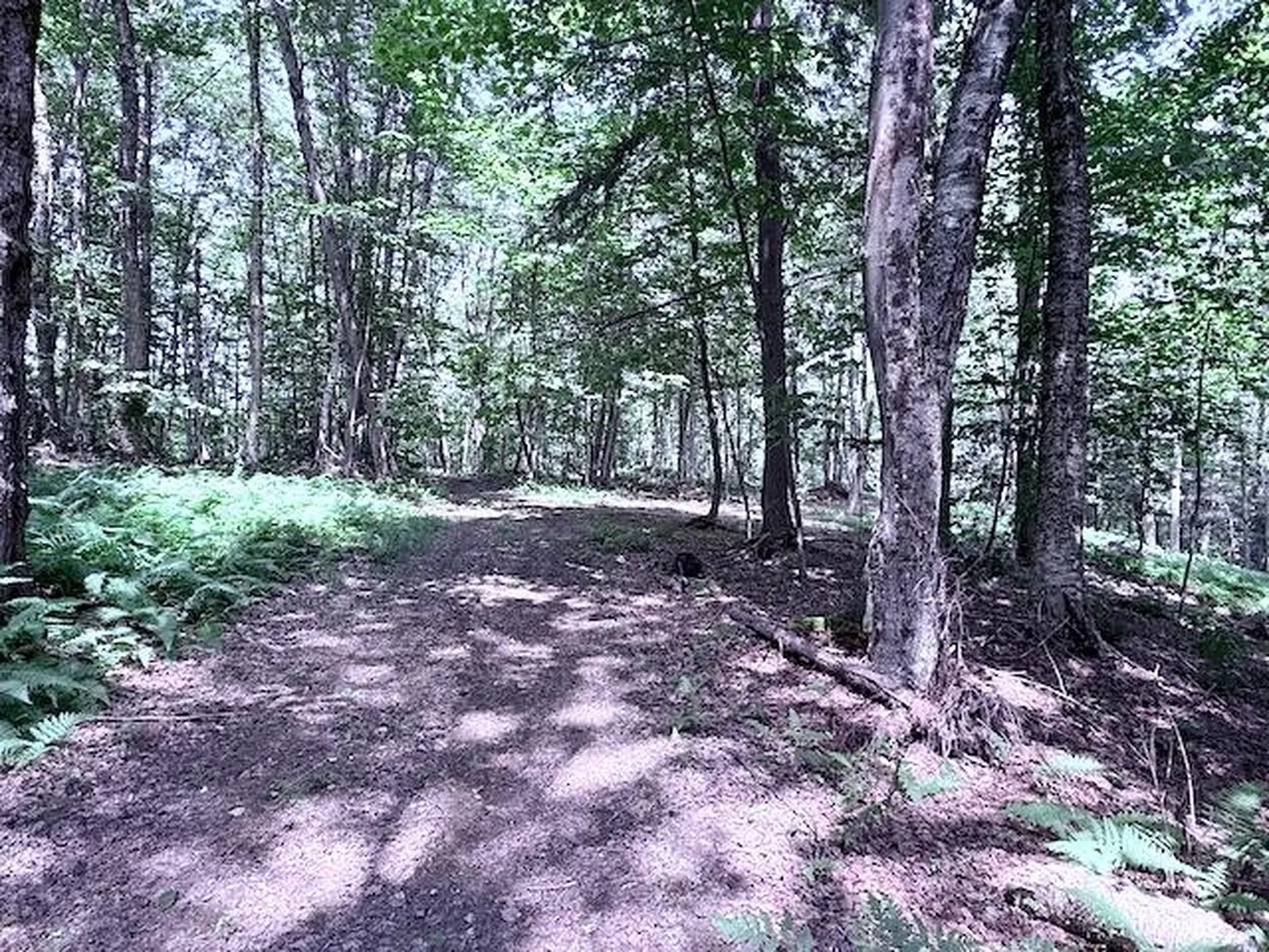 24 Mary White Road Tunbridge VT 05077