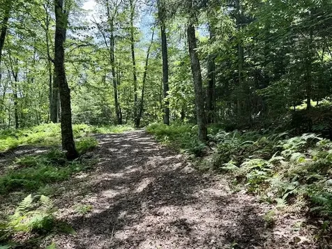 24 Mary White Road Tunbridge VT 05077