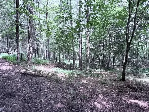 24 Mary White Road Tunbridge VT 05077