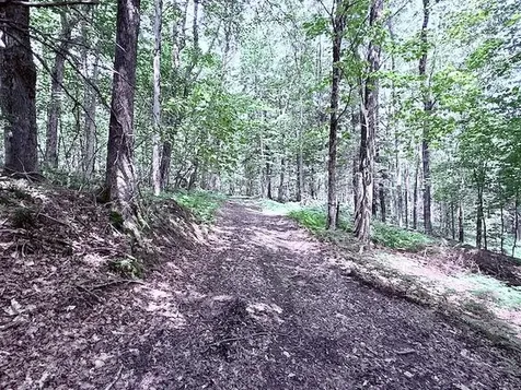 24 Mary White Road Tunbridge VT 05077