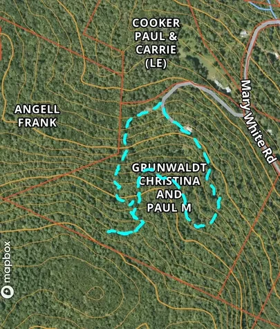 24 Mary White Road Tunbridge VT 05077