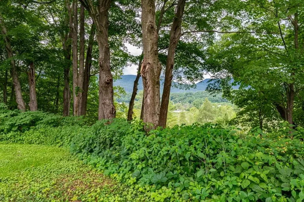 5515 Main Street Manchester VT 05255