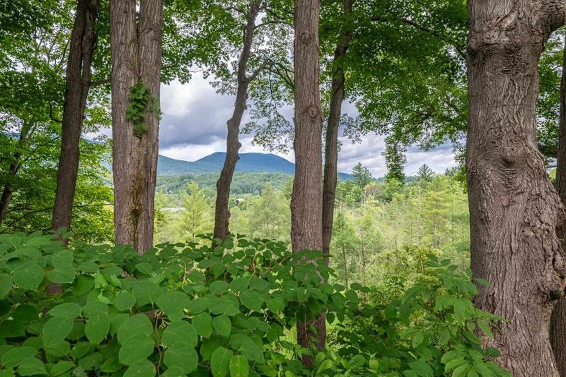 5515 Main Street Manchester VT 05255