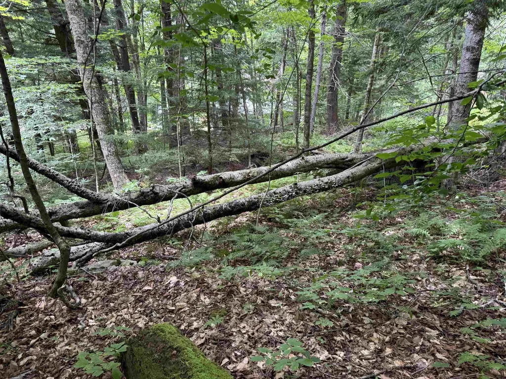 0 Elwell Heights Wilmington VT 05363