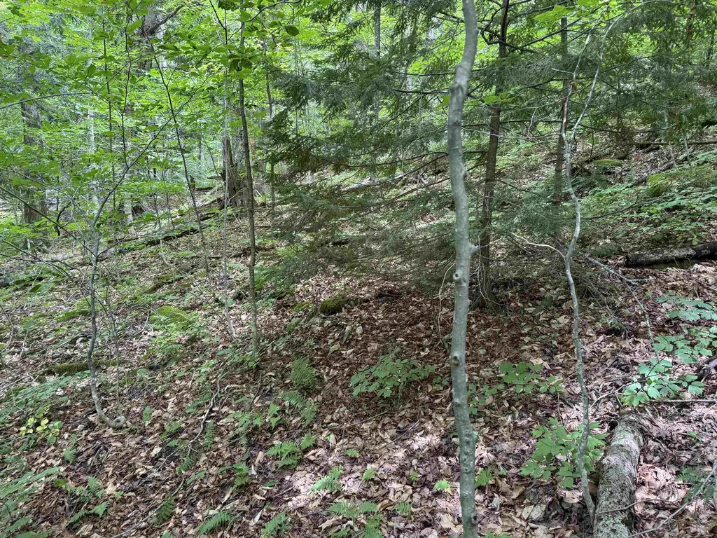 0 Elwell Heights Wilmington VT 05363