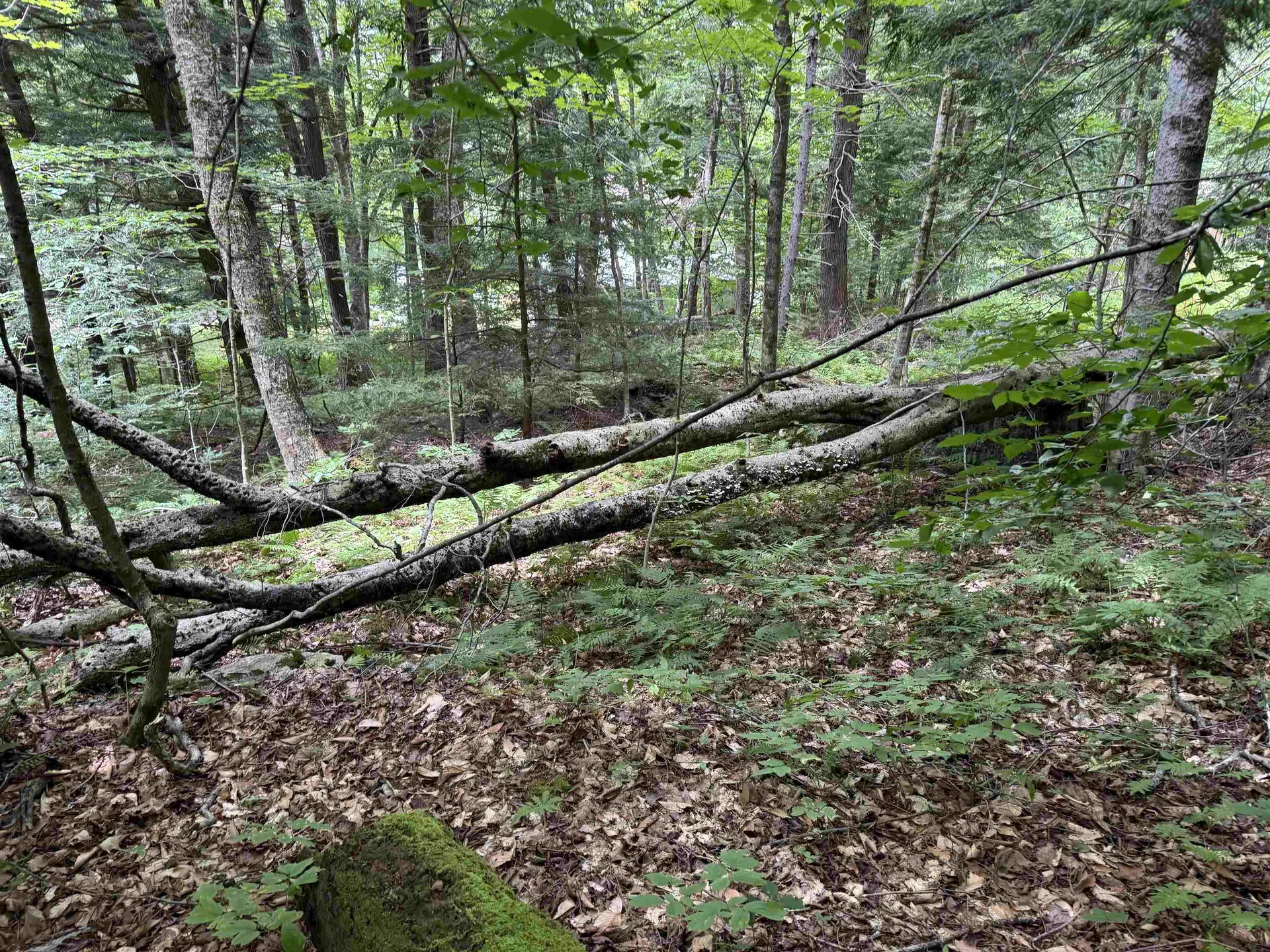 0 Elwell Heights Wilmington VT 05363