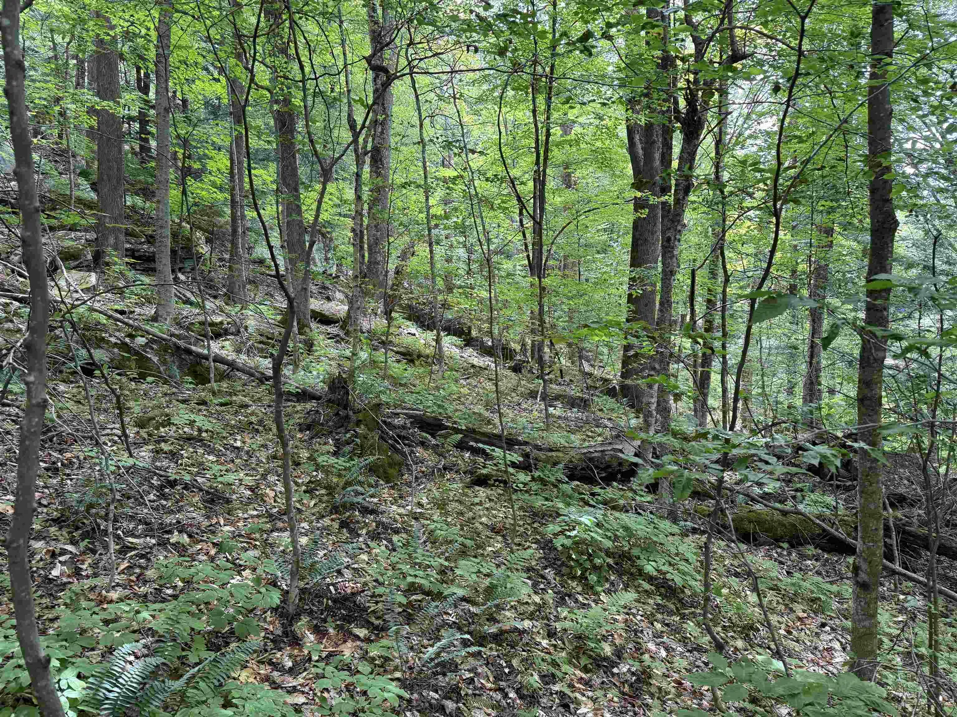 0 Elwell Heights Wilmington VT 05363