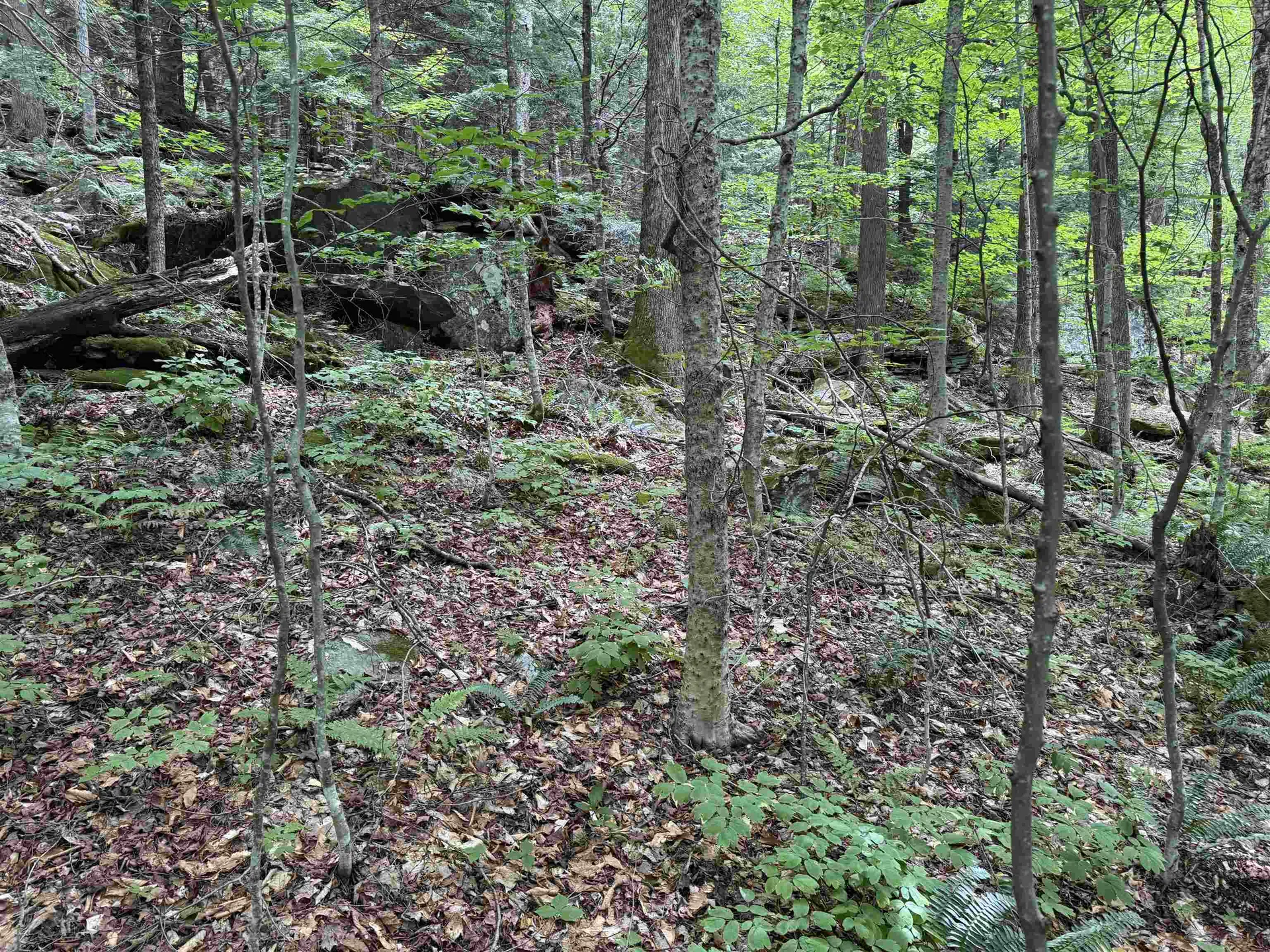 0 Elwell Heights Wilmington VT 05363