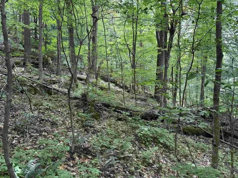 0 Elwell Heights Wilmington VT 05363