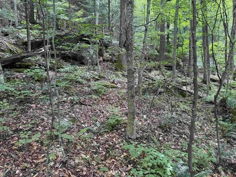 0 Elwell Heights Wilmington VT 05363