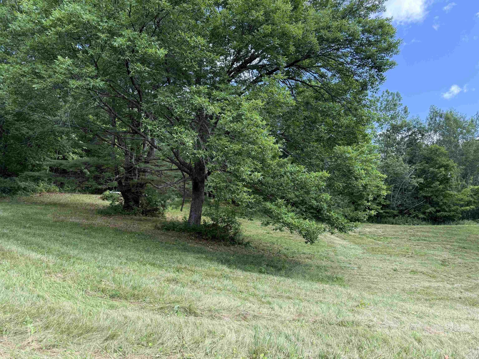 1782 Randall Road Woodstock VT 05091-0488