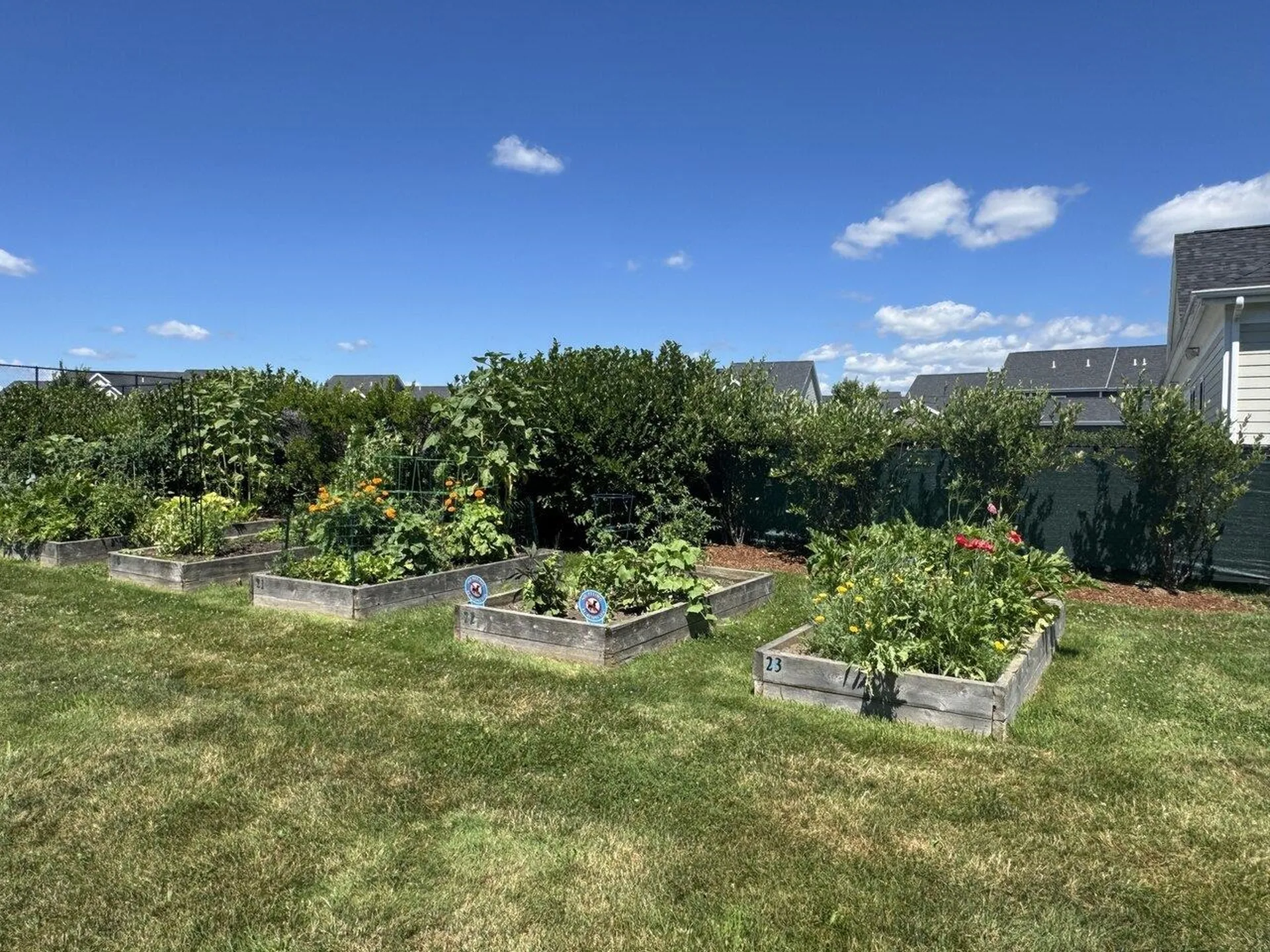 36 Half Moon Lane Williston VT 05495