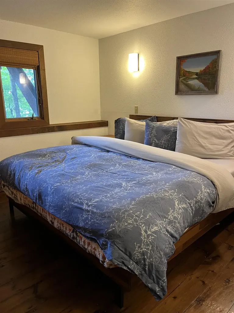 219 Sparrow Hawk Road Rochester VT 05767