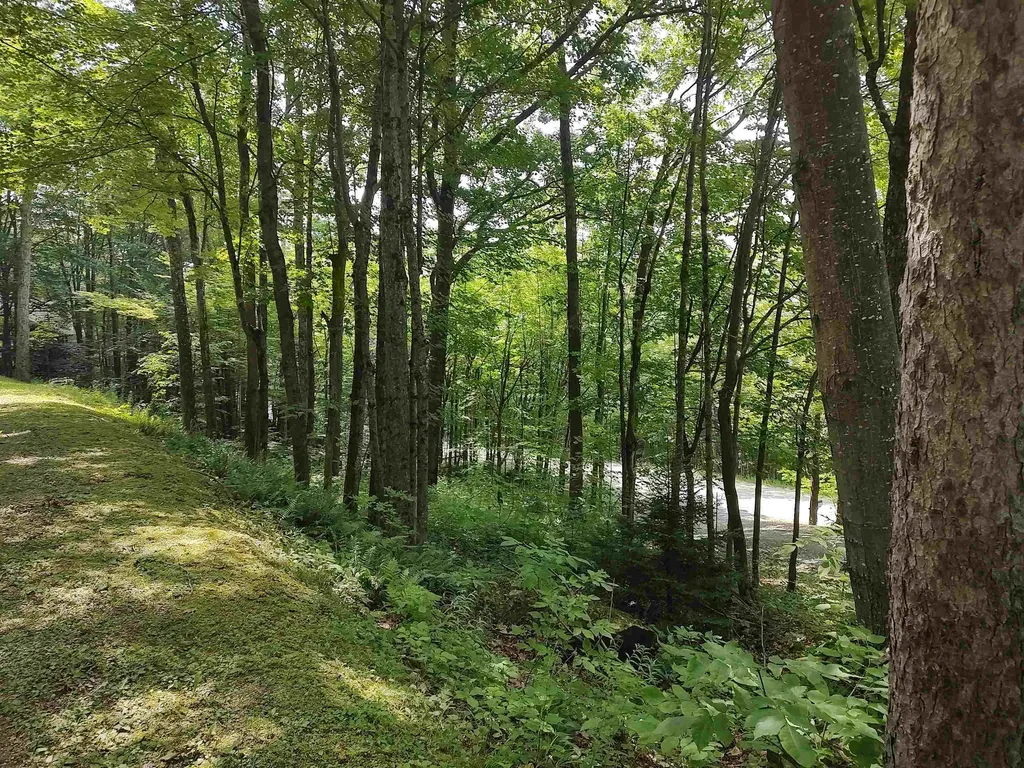 219 Sparrow Hawk Road Rochester VT 05767