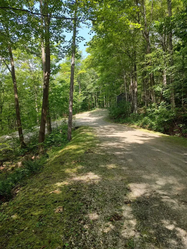 219 Sparrow Hawk Road Rochester VT 05767