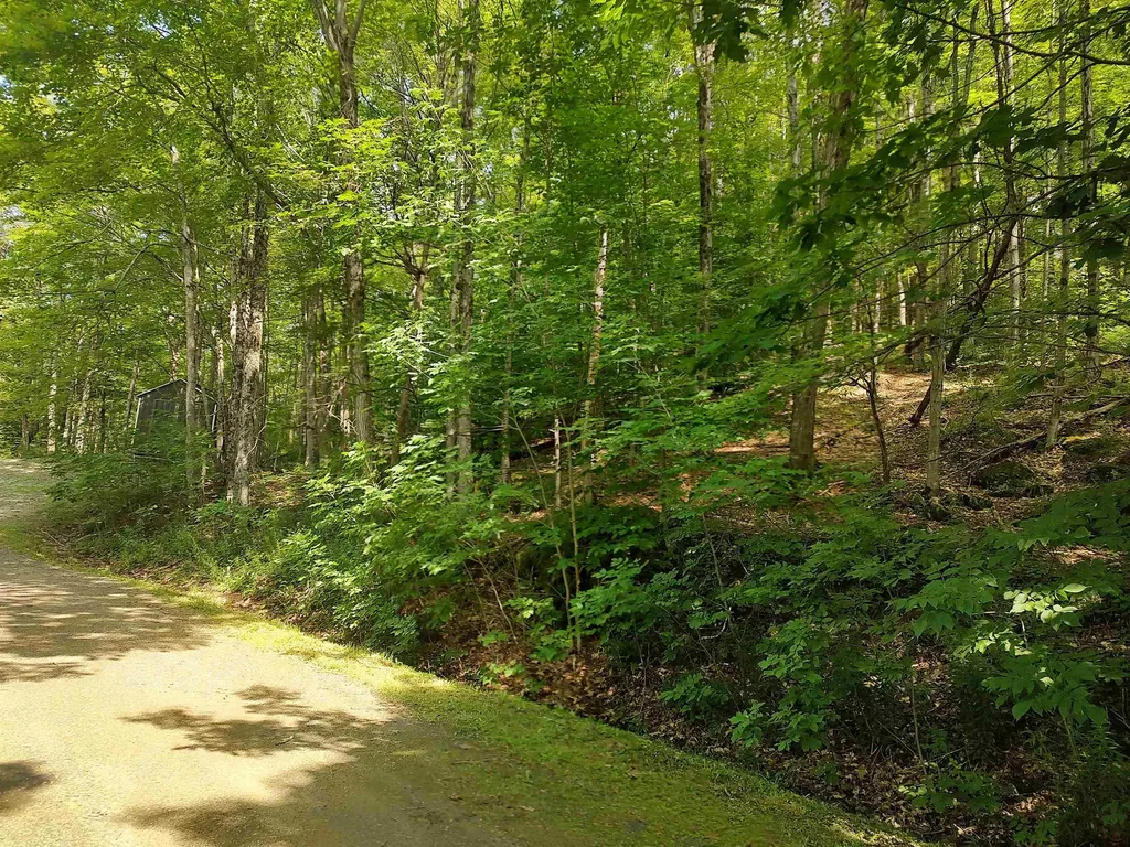 219 Sparrow Hawk Road Rochester VT 05767