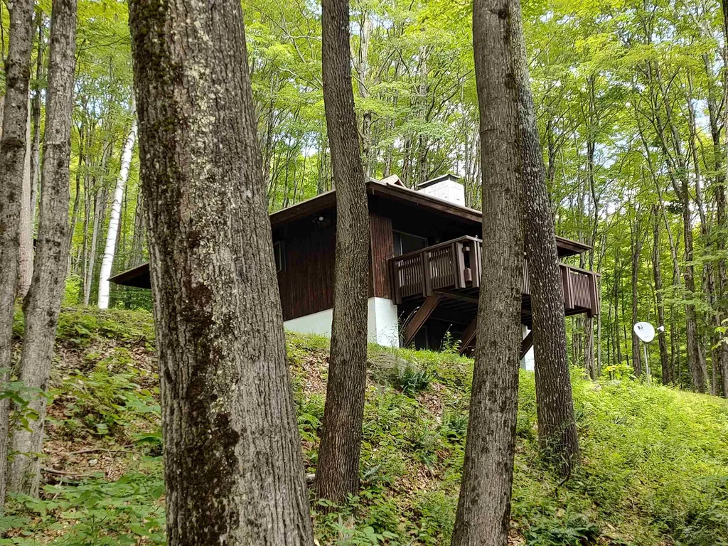 219 Sparrow Hawk Road Rochester VT 05767