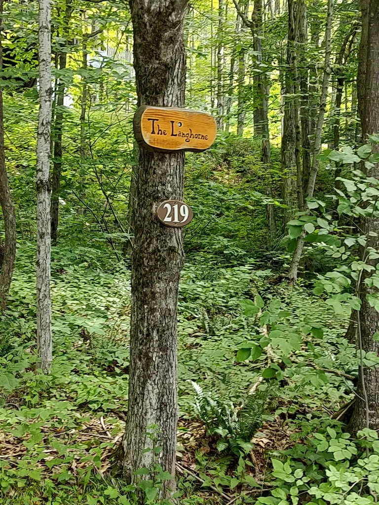 219 Sparrow Hawk Road Rochester VT 05767