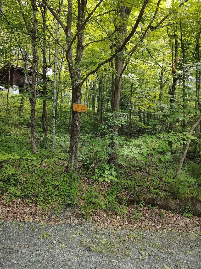 219 Sparrow Hawk Road Rochester VT 05767