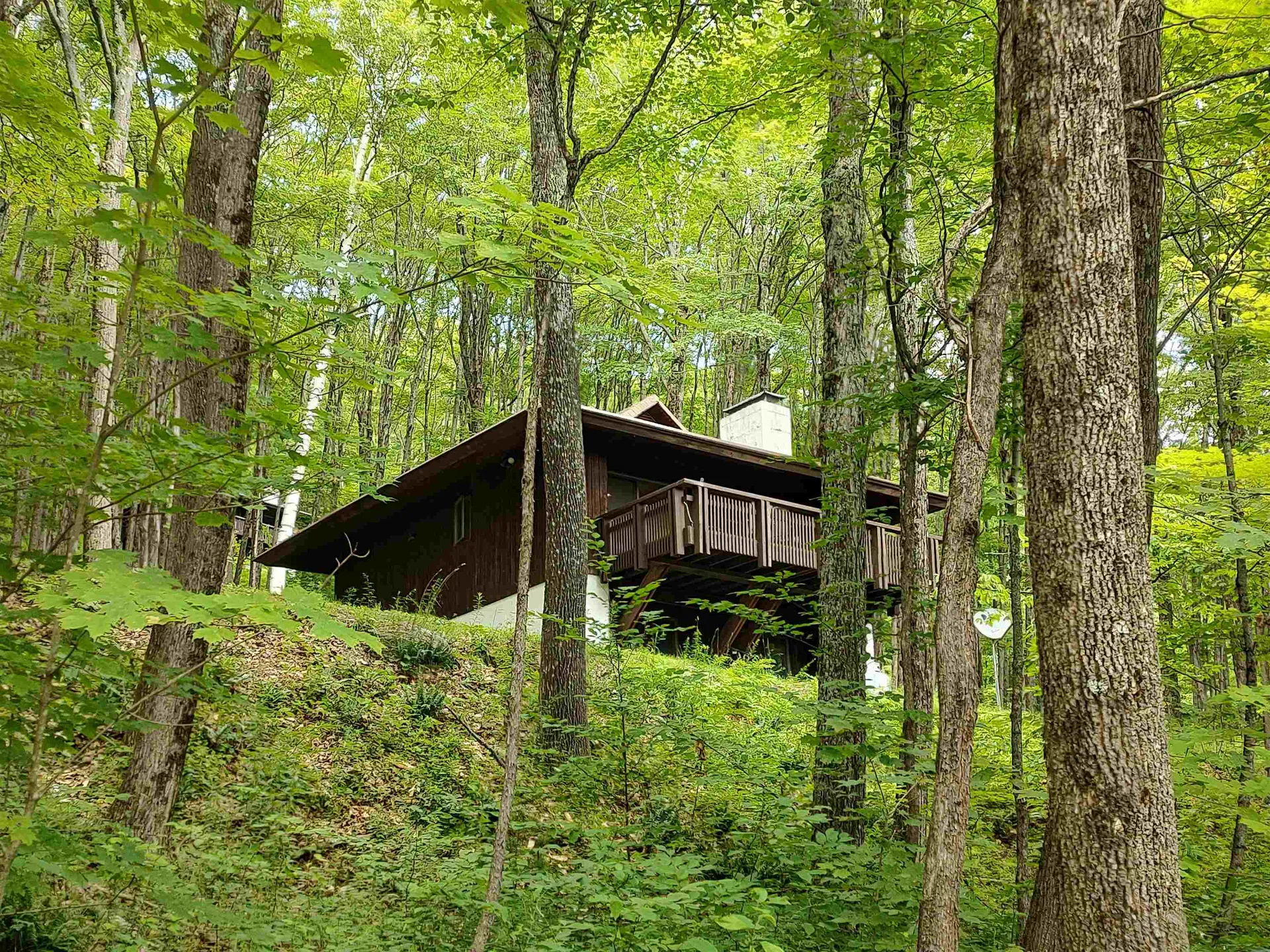 219 Sparrow Hawk Road Rochester VT 05767