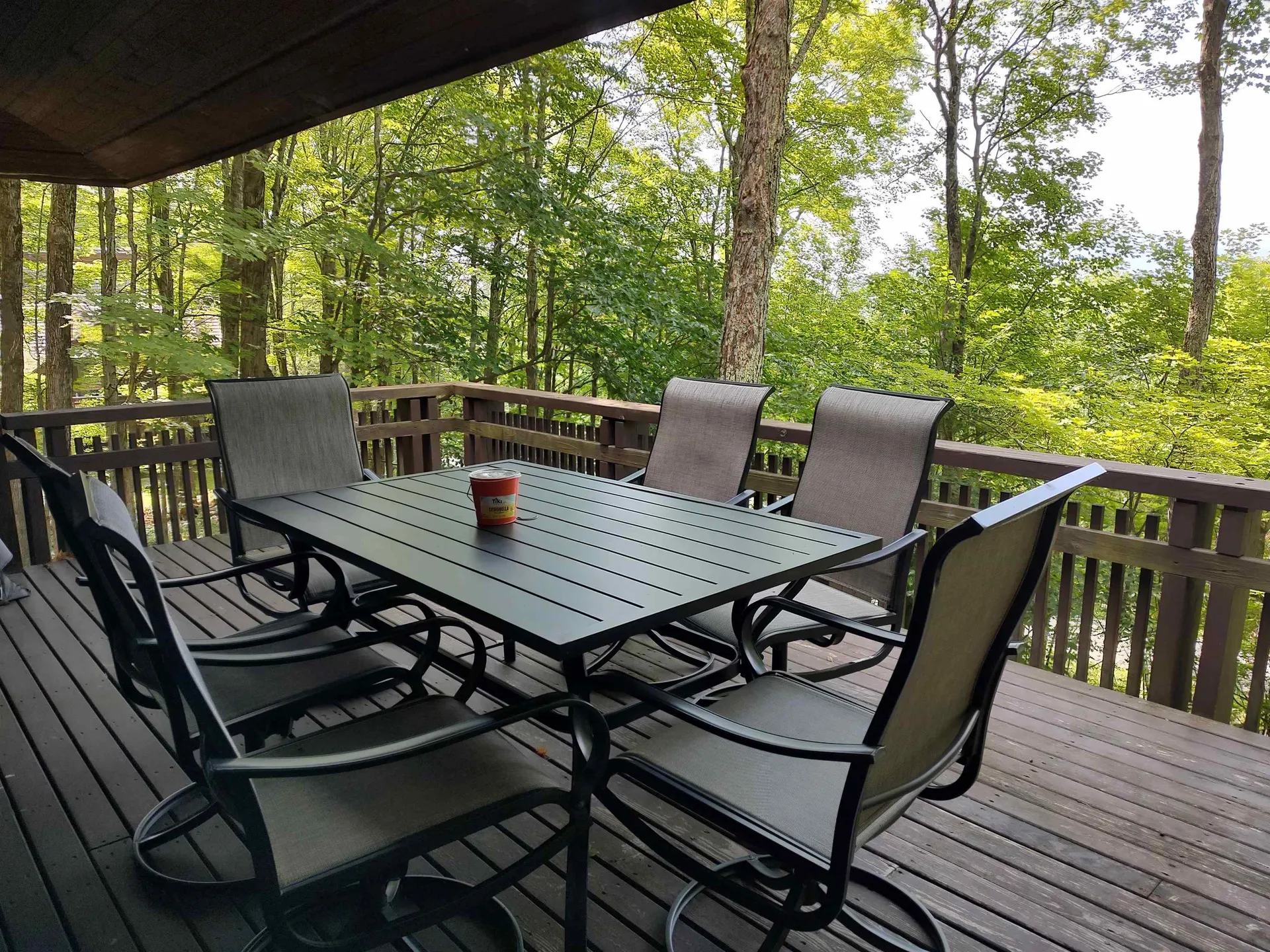 219 Sparrow Hawk Road Rochester VT 05767