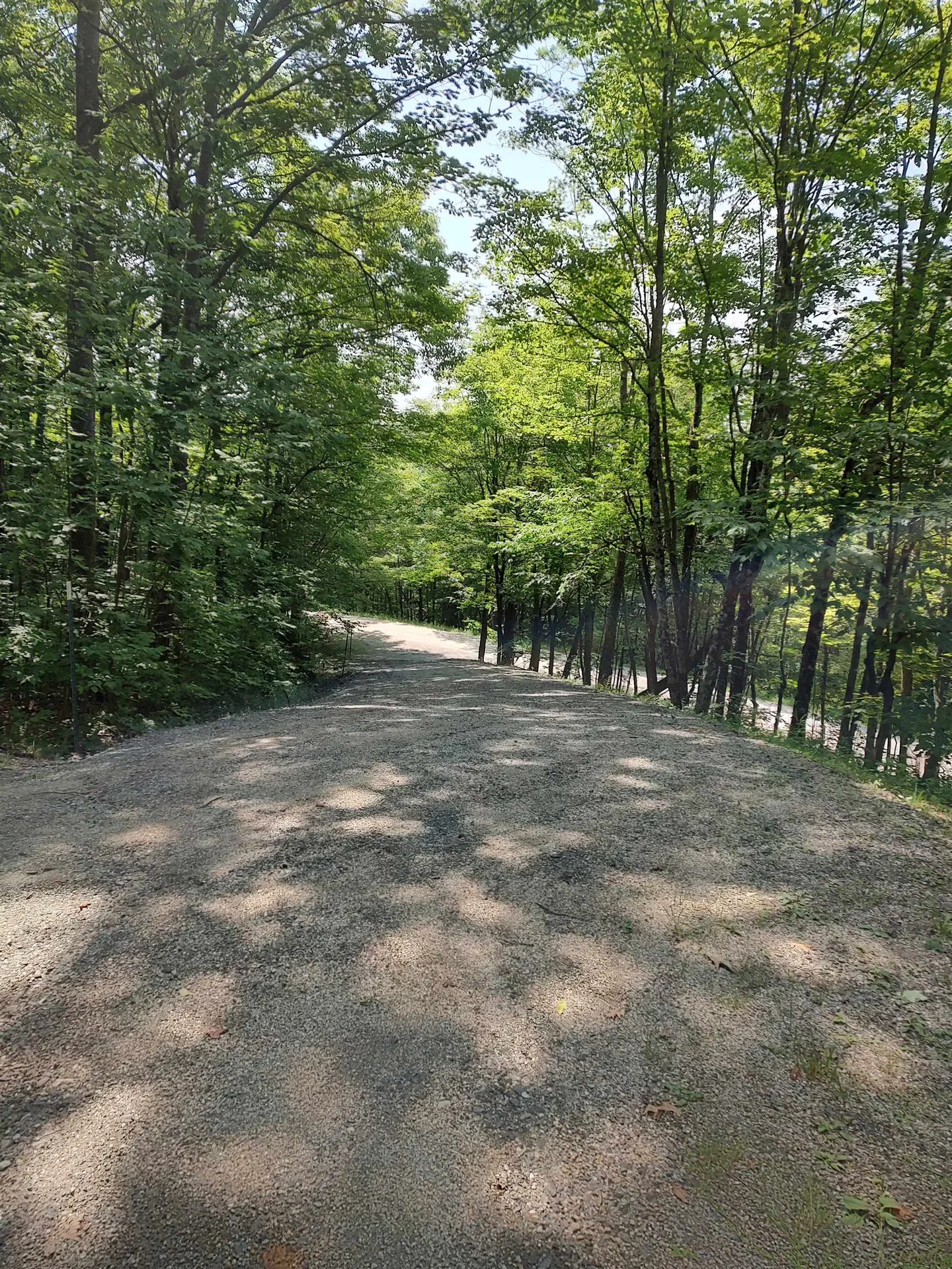 219 Sparrow Hawk Road Rochester VT 05767