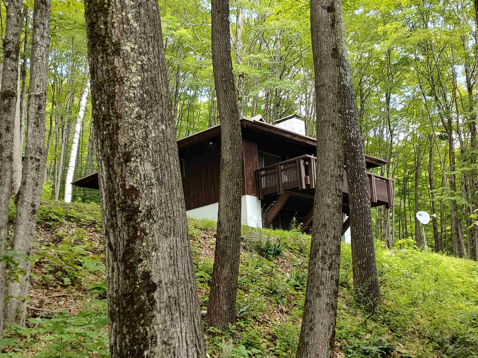 219 Sparrow Hawk Road Rochester VT 05767