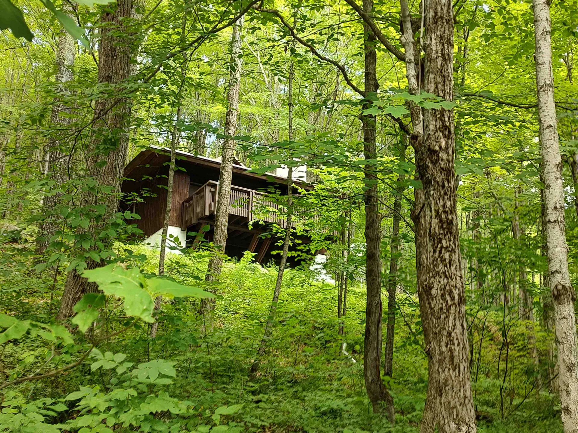 219 Sparrow Hawk Road Rochester VT 05767